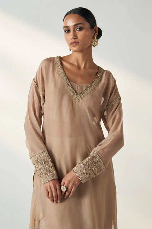 Pakhi Fawn Sheer Kurta Pant Set